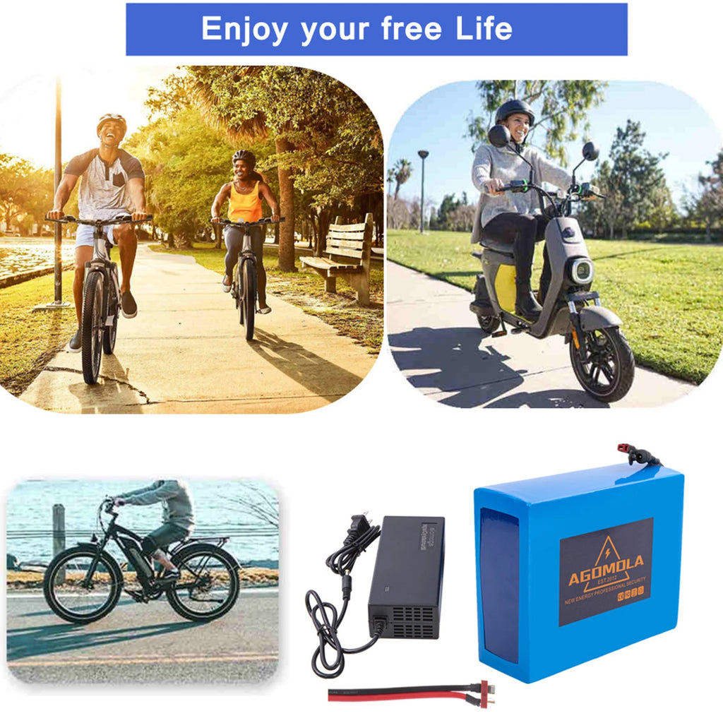 36V Battery 14Ah 36Volt Lithium Ion Ebike Battery for 100W to 800W Electric Bicycle Bikes Motor with Charger BMS